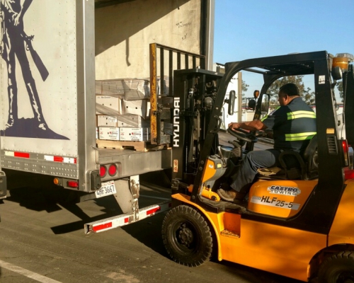Load Shift & Cargo Recovery Services