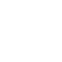 brake icon